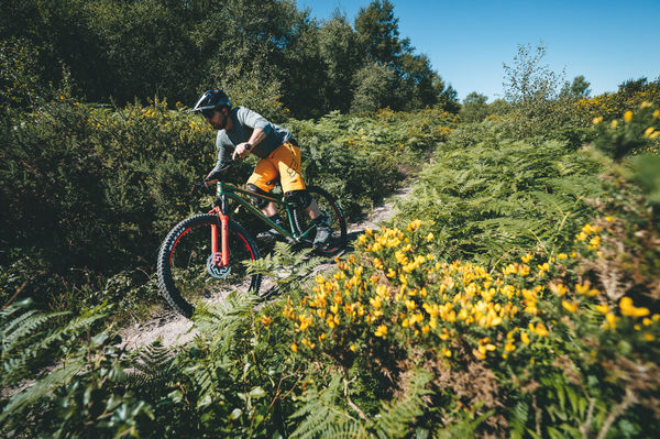 21-merida-mountainbikes-big-trail-my2021-gallery-3.jpg