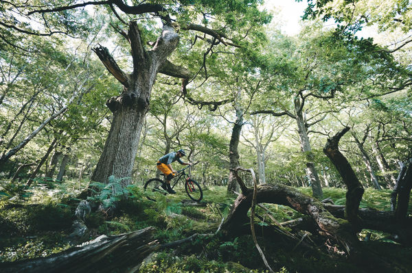 21-merida-mountainbikes-big-trail-my2021-gallery-4.jpg